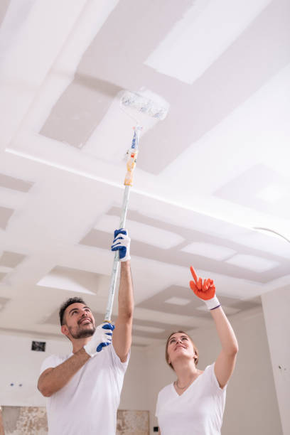 Best Environmental Consulting for Mold Prevention  in Hidden Valley Lake, CA